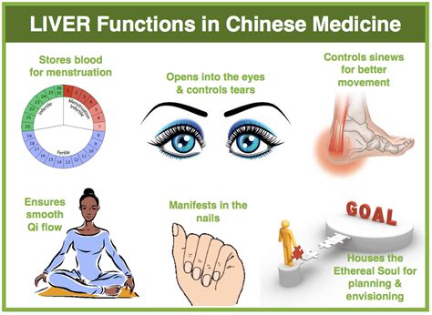 acupressure points for liver health.